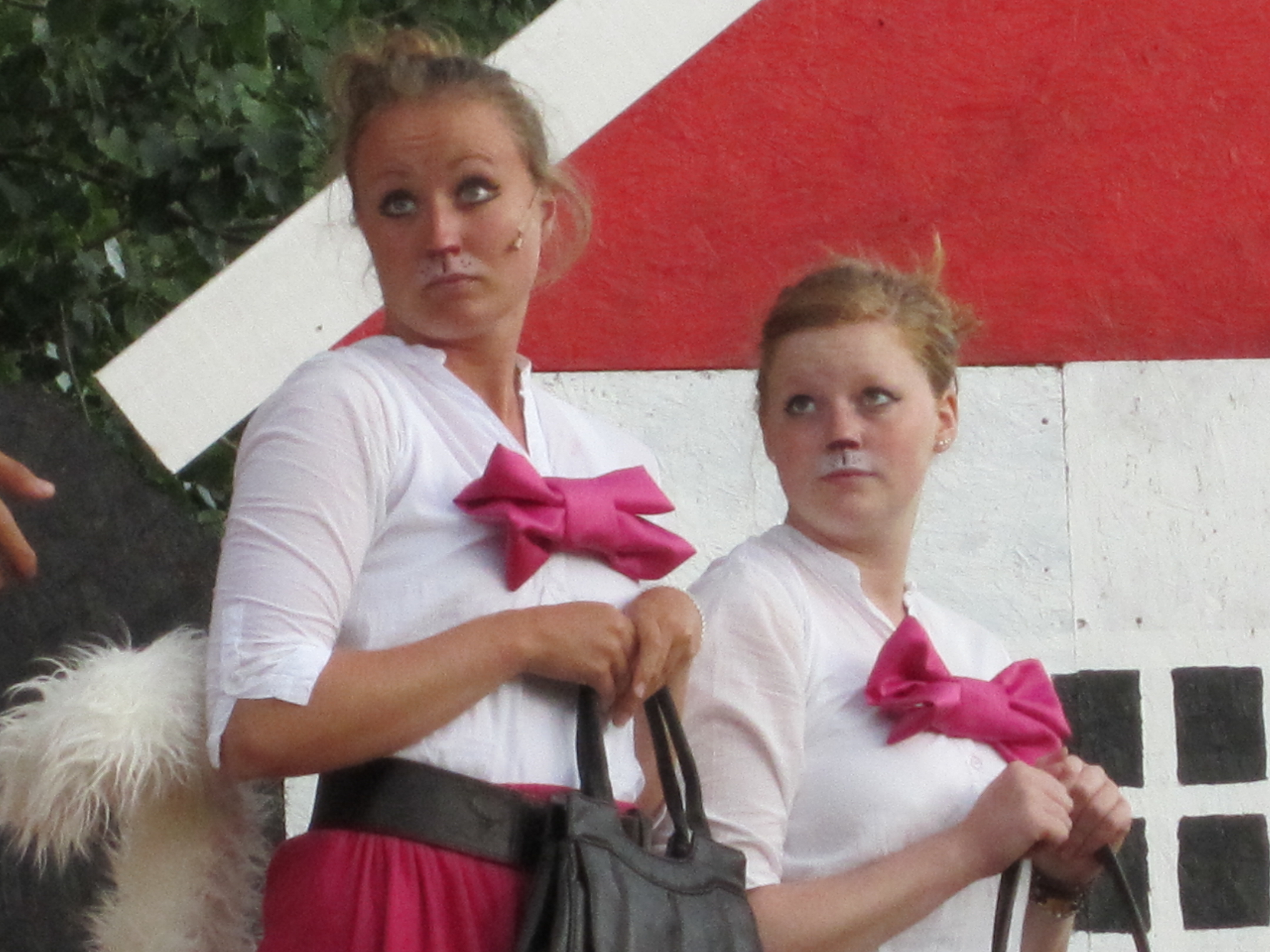 Pelle Svanslös 2010 — bild 20