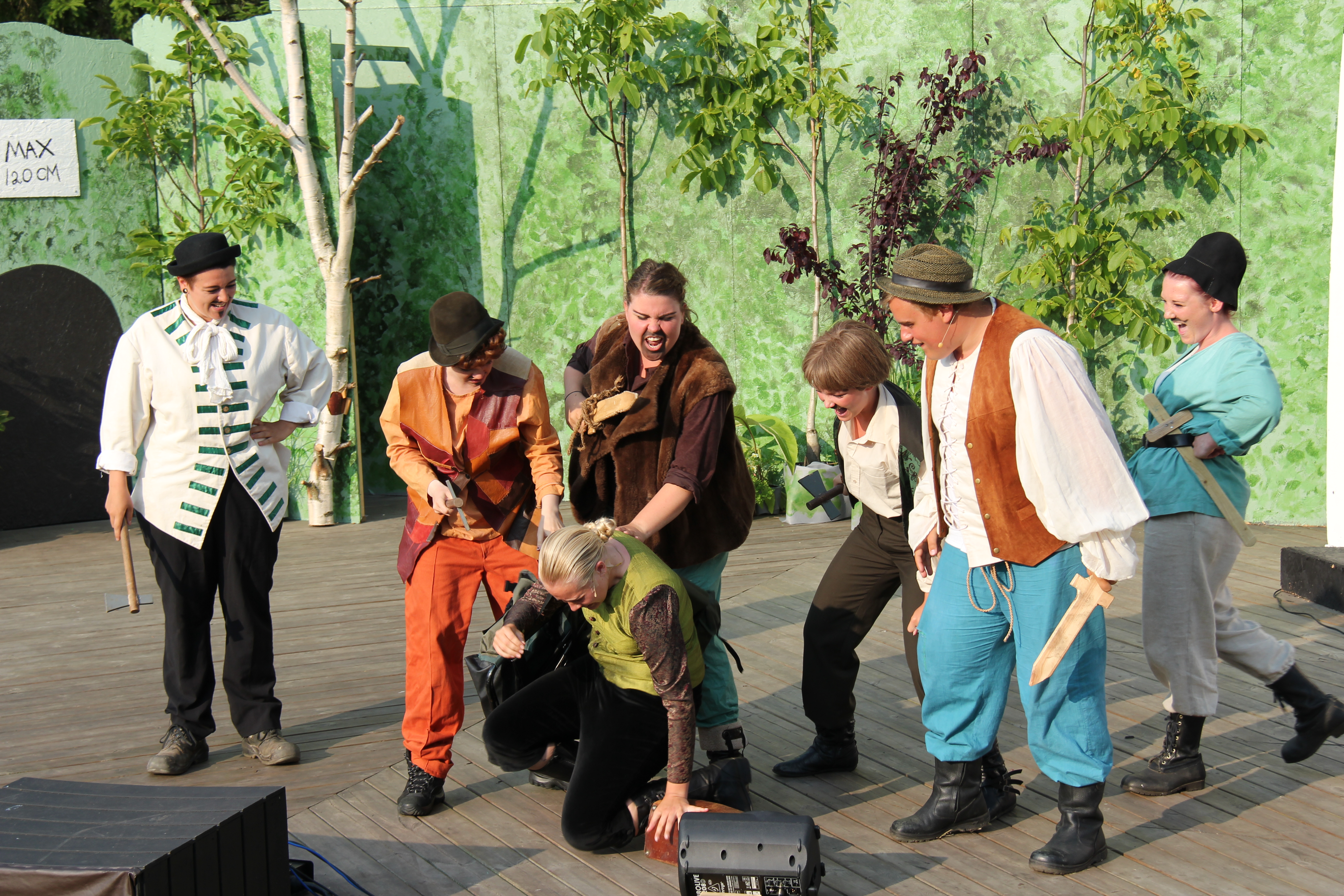 Snövit 2013 — bild 17